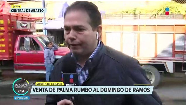 Comenzó la venta de palmas rumbo al Domingo de Ramos