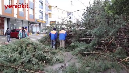 Başkent'te kuvvetli rüzgar nedeniyle ağaç otomobilin üzerine devrilri
