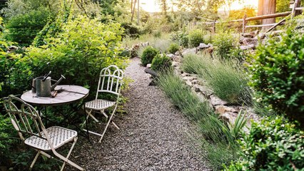 Why Sustainability Is the Biggest Yard Care Trend This Spring
