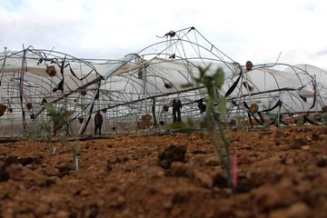 Amasya'da fırtına seraları ve pazarı vurdu