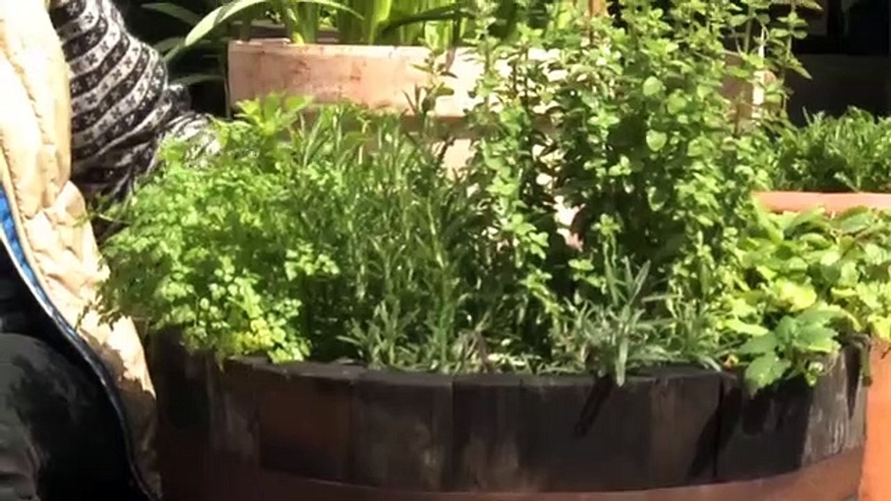 Poul på landet - Afsnit med Poul Pelle i TV GLAD 10:10 - Sendt i 2014 og 2015 på TV SYD | TV2 Danmark