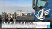 Informe desde Bruselas: UE prohibirá vehículos de gasolina a partir de 2035