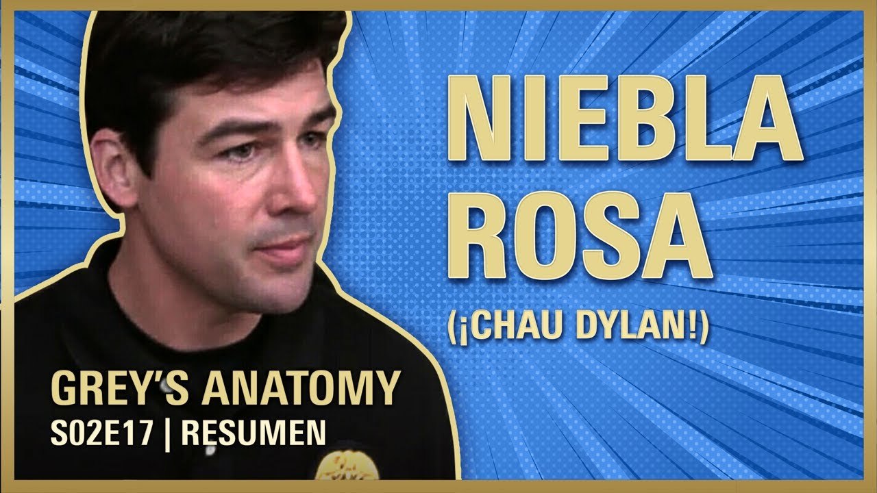 Grey's Anatomy 2x17 | Todo sale bien... Bueno, no | RESUMEN Temporada 2