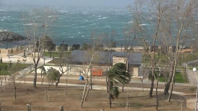 Doğu Karadeniz'de fırtına etkisi; çatı uçtu, ağaç devrildi 