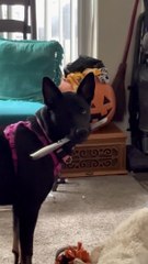 Anything For A Taste Of That Good Irish Butter