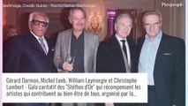 Louis Bertignac et Patrick Chesnais de sortie avec leurs moitiés face à Hélène Ségara, soirée de folie à Paris