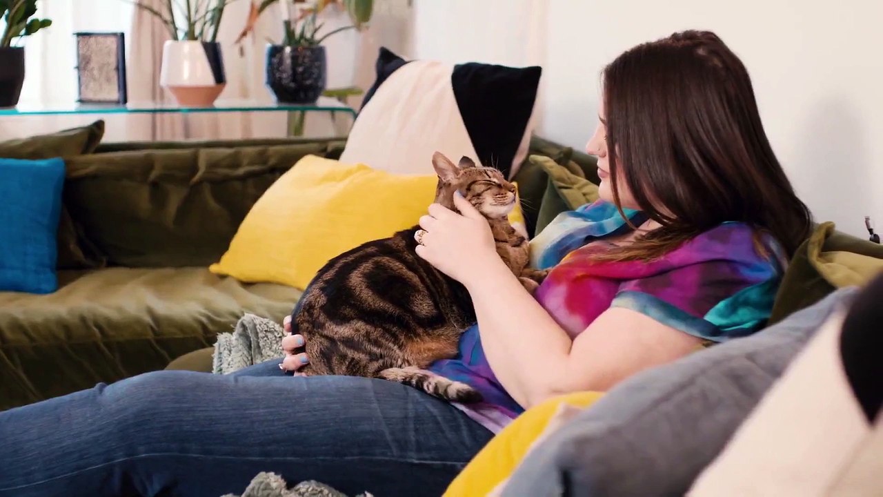 Inside the Mind of a Cat - 123Movies