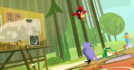 Angry Birds: Summer Madness Angry Birds: Summer Madness E012 Misadventures in Hatchling-sitting