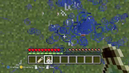 Minecraft - Upside down Animal glitch!