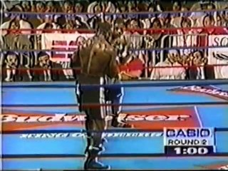 Chris Byrd vs Biko Botowamungu (17-05-1996) Full Fight
