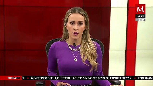 Autoridades buscan al agresor que macheteó a dos perros en Tuxpan