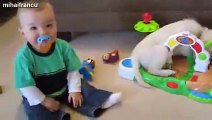 Kittens And Puppies Playing With Babies Compilation