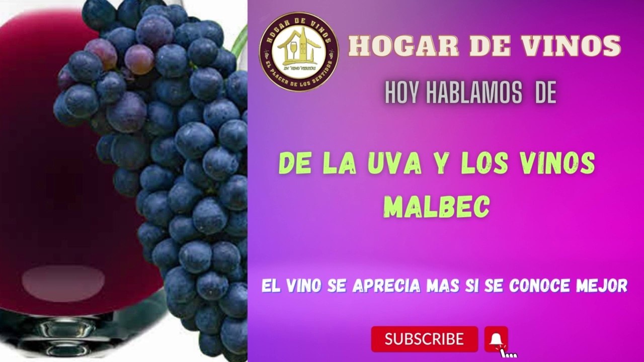 todo sobre la uva Malbec