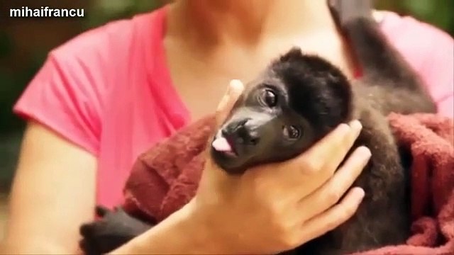 Funny Cute Baby Animals Yawning Compilation 2014 [NEW]