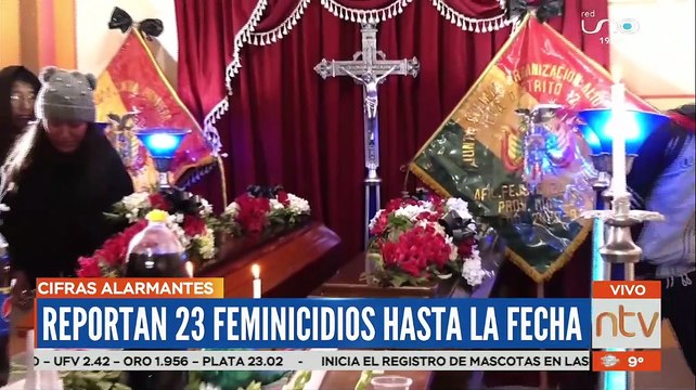 Suman 23 feminicidios a nivel nacional en este primer trimestre