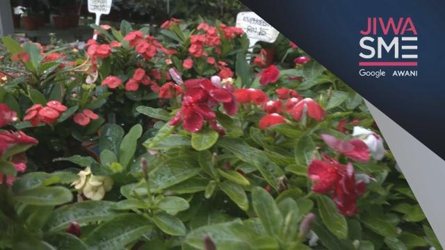 Niaga AWANI: Jiwa SME: Pemasaran media sosial bantu Riyadh Nursery perkukuh jenama