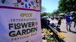 The Flower and Garden Festival at Epcot Theme Park (Orlando, Florida) - Travel VLOG Tour & Review