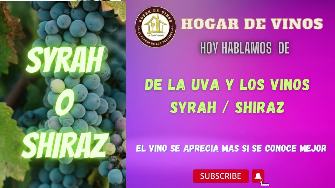 Todo sobre la uva Shiraz