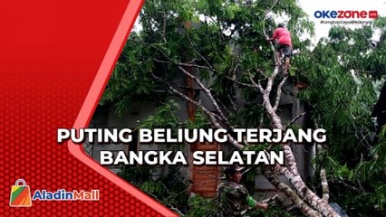 Download Video: Angin Puting Beliung Terjang Bangka Selatan, Pohon Tumbang Timpa 1 Rumah