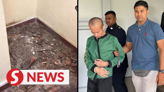 Jailed two years for starving cats to death