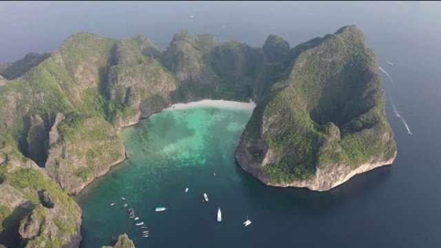 La cohabitation difficile entre touristes et requins à Maya Bay en Thaïlande, devenue célèbre par le film La Plage