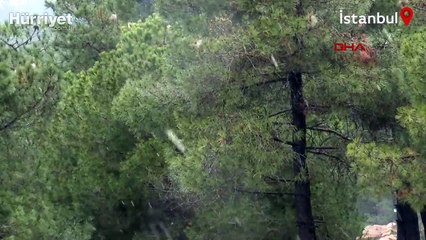 İstanbul'un yüksek kesimlerine kar yağdı