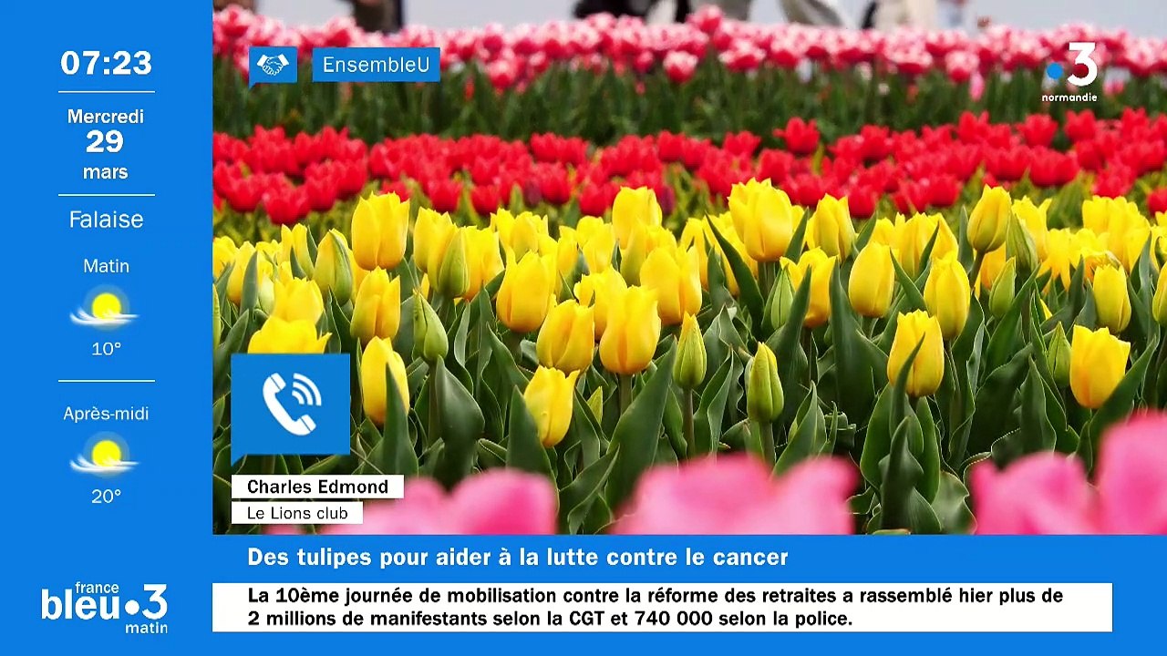 29/03/2023 - Le 6/9 de France Bleu Basse Normandie en vidéo