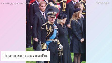 Le prince Harry snobé par son père en Angleterre... Excuse bidon de la part du roi Charles ?