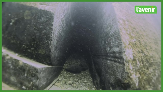 Namur : découverte d'un tunnel sous la Meuse entre l'Élysette et le Parlement wallon