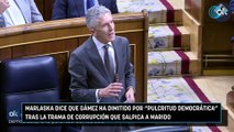 Marlaska dice que Gámez ha dimitido por 