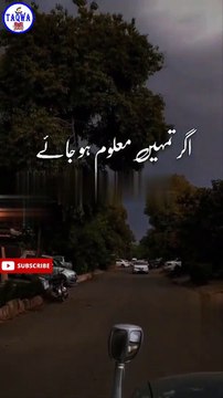 Islamic Tik Tok Video - Short Islamic Video Clips - Short Bayan Status - Taqwa #shorts