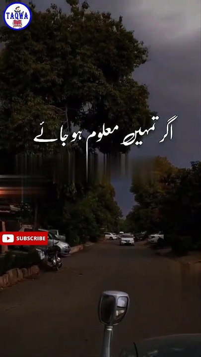 Islamic Tik Tok Video - Short Islamic Video Clips - Short Bayan Status - Taqwa #shorts