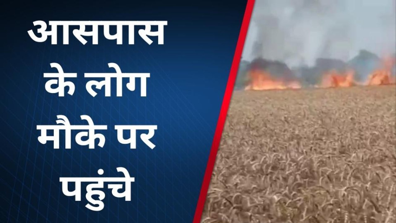 खगड़िया: गोगरी में गेहूं के खेत में लगी भीषण आग, कई किसानों के फसल जले