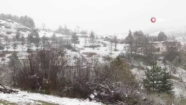 Mart kapıdan baktırdı, Kavak beyaza büründü