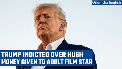 下载视频: Donald Trump indicted by grand jury over hush money; calls it ‘political persecution’ |Oneindia News