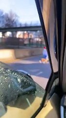 Dog Halts Sunday Morning Traffic in Boston