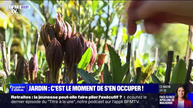 Avec le retour du printemps, comment bien s'occuper de son jardin?
