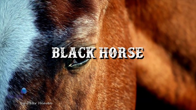 BLACK HORSE ❤️live in concert - Peter Heaven & Blue Light Orchestra - Instrumental music in its most beautiful way