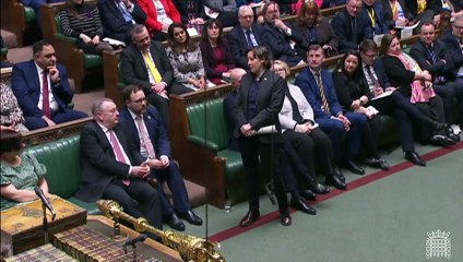 Mhairi Black asks Dominic Raab what his daily rate would be in PMQs exchange