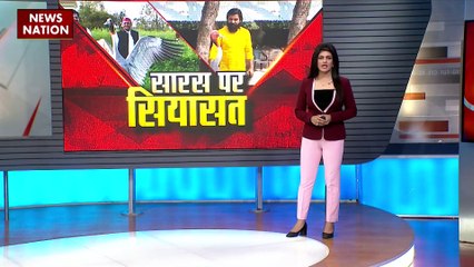 Uttar Pradesh : UP में सारस को लेकर शुरू हुई सियासत