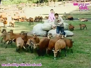 Tập 09 - Hoa oải hương | Lavender (Phim Đài Loan xưa)