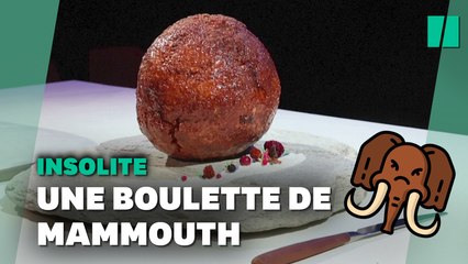 Cette entreprise australienne fabrique des boulettes de viande de mammouth