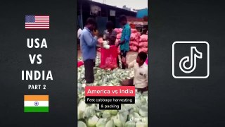 USA VS INDIA TIKTOK MEME COMPILATION _ The Box Indian Remix - PART 2