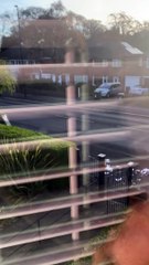 The Mad Dash To Take Out The Trash