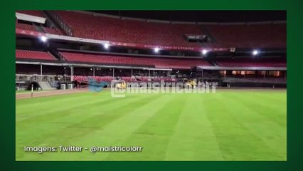 Video herunterladen: Gramado do Morumbi está preparado para receber os próximos jogos do São Paulo em casa