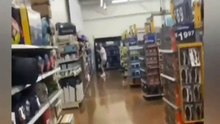 Short Funny Compilation (99)