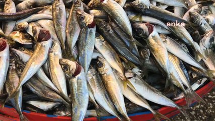 Son 15 gün! Vatandaş alamıyor