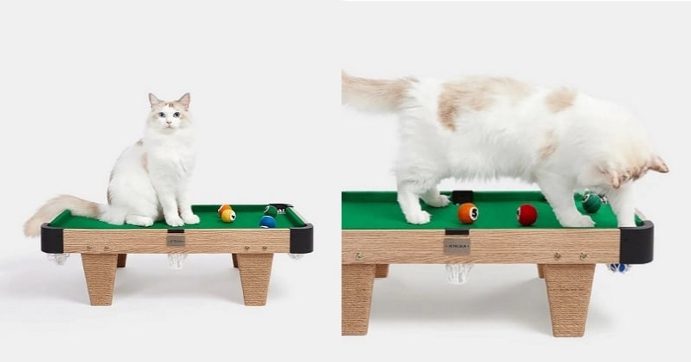 Ce billard miniature pour votre chat le rendra complètement gaga (et vous aussi)