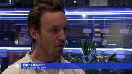 Mamute tem carne ‘ressuscitada’ para a produção de almôndega