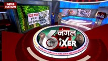 Jungle Sixer : देखिए जंगल से जुड़ी सभी खबरें Jungle Sixer में